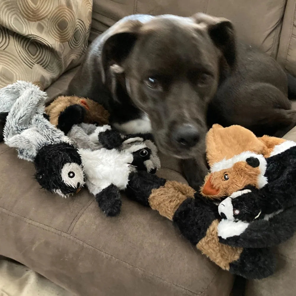 Dog Toy with Squeakers, Plush Squeaky design
