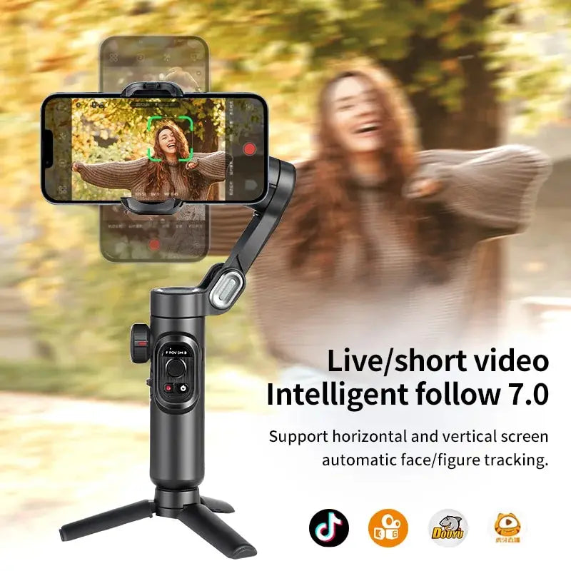 3-Axis Gimbal Stabilizer